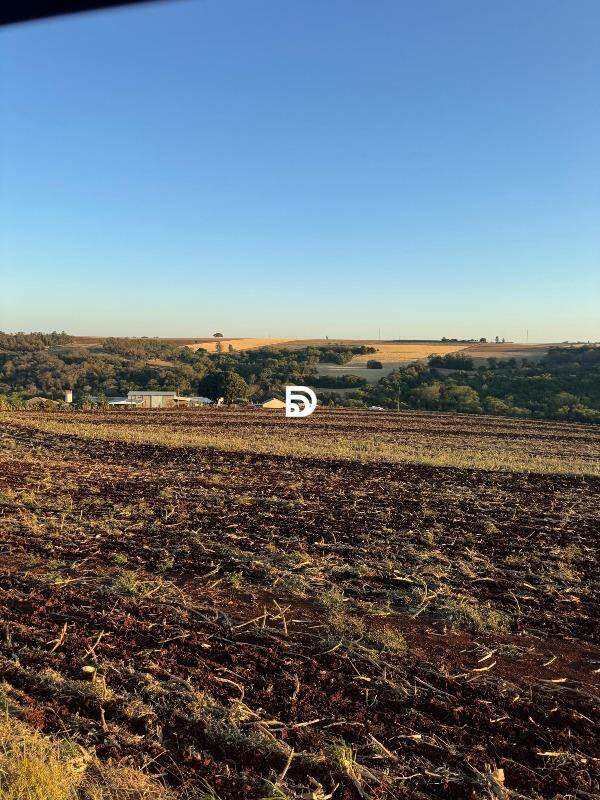 Propriedade Rural à Venda em Marialva - PR — Foto 2