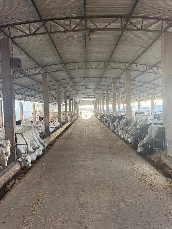 Propriedade Rural à Venda em Marialva - PR — Foto 4