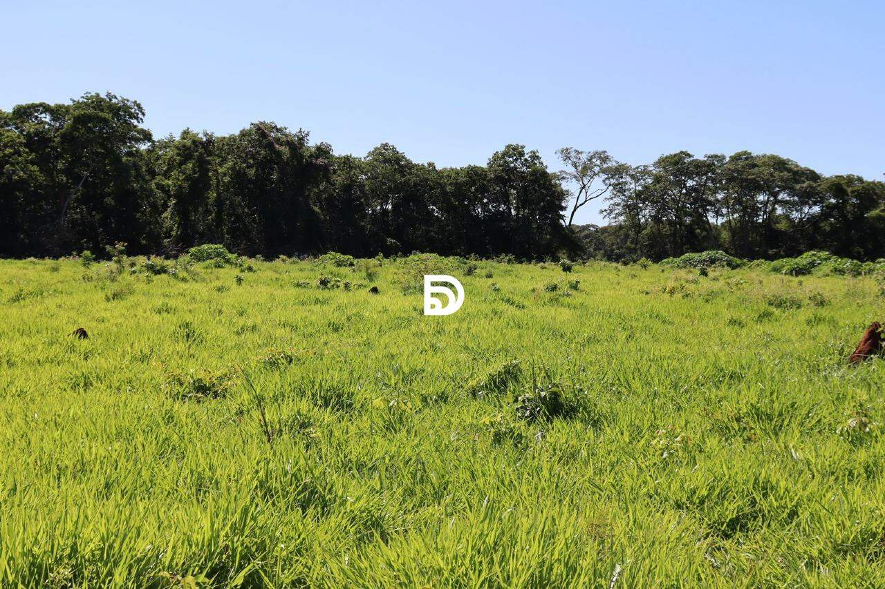 Fazenda à venda em Região da Fundação Bradesco — Foto 2