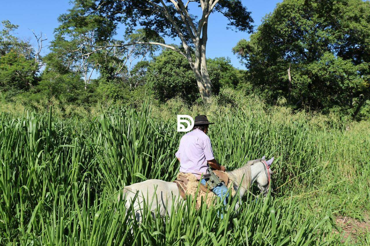 Fazenda à venda em Região da Fundação Bradesco — Foto 4