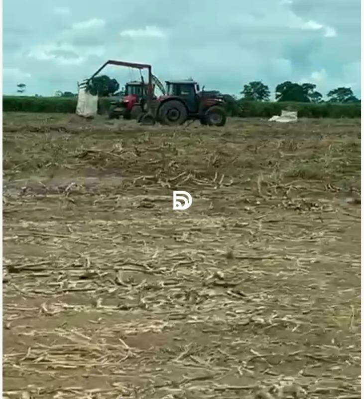 Fazenda à venda em Taquarussu/MS — Foto 4