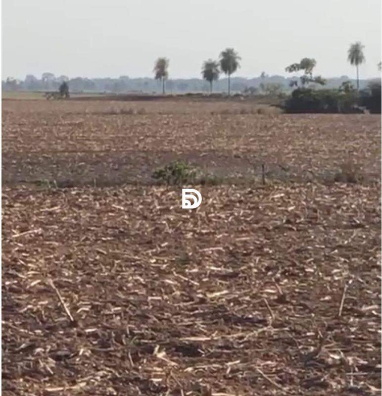 Fazenda à venda em Taquarussu/MS — Foto 5